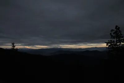 DSC_0137 (Large).JPG